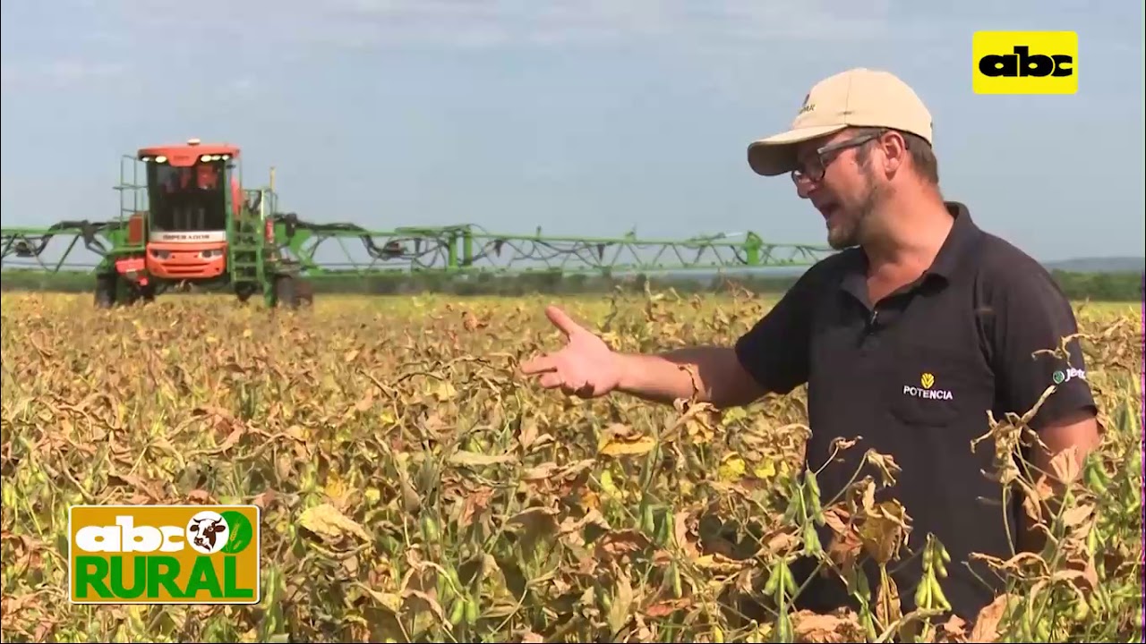 ABC Rural: La soja no es algo exclusivo para grandes productores