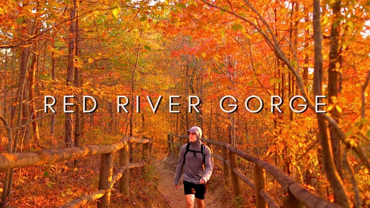 Exploring Red River Gorge, Kentucky
