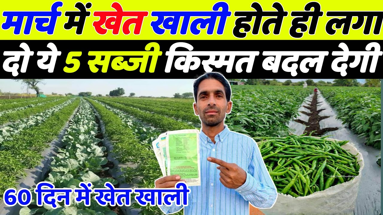 मार्च में खेत खाली होते ही लगा दो ये 5 सब्ज़ियाँ किस्मत बदल जाएगी | March me konsi sabji lagaye 