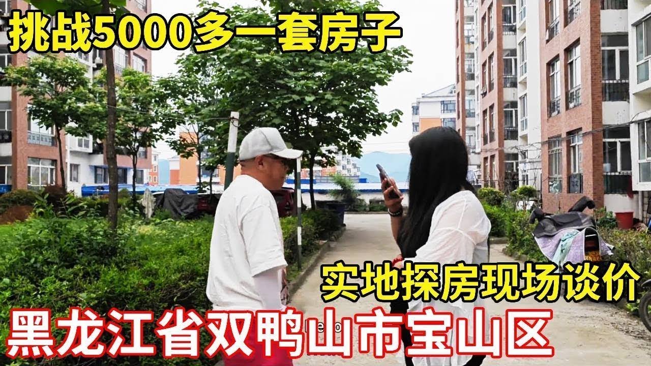 5000 多一套的房子！黑龙江双鸭山宝山区藏着这样的漏？鬼哥挑战入手，成功了就是血赚！【鬼哥看房】