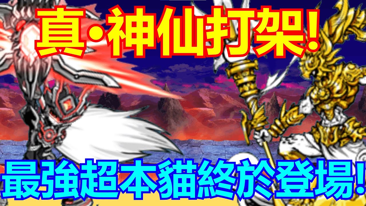 《貓咪大戰爭》神仙打架的一集！最強超本與最爛超本同時降臨！| 星帆貓咪介紹#103