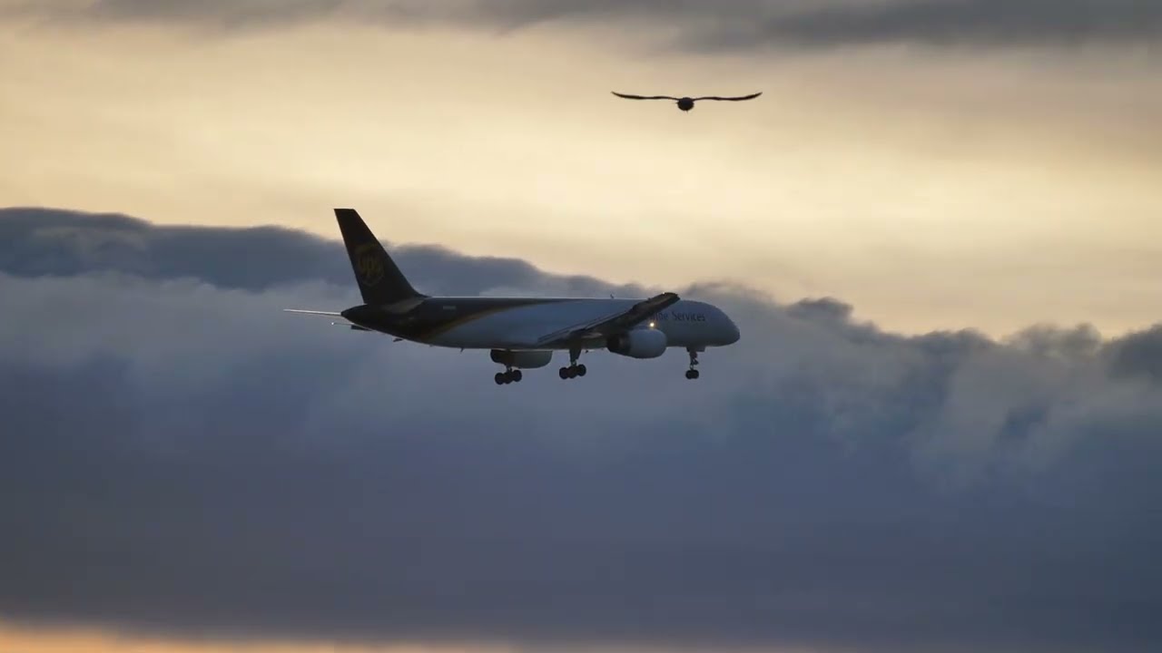 Plane Spotting -- Oakland San Francisco Bay Airport -- All Cargo Plane Action -- Feb 22, 2026