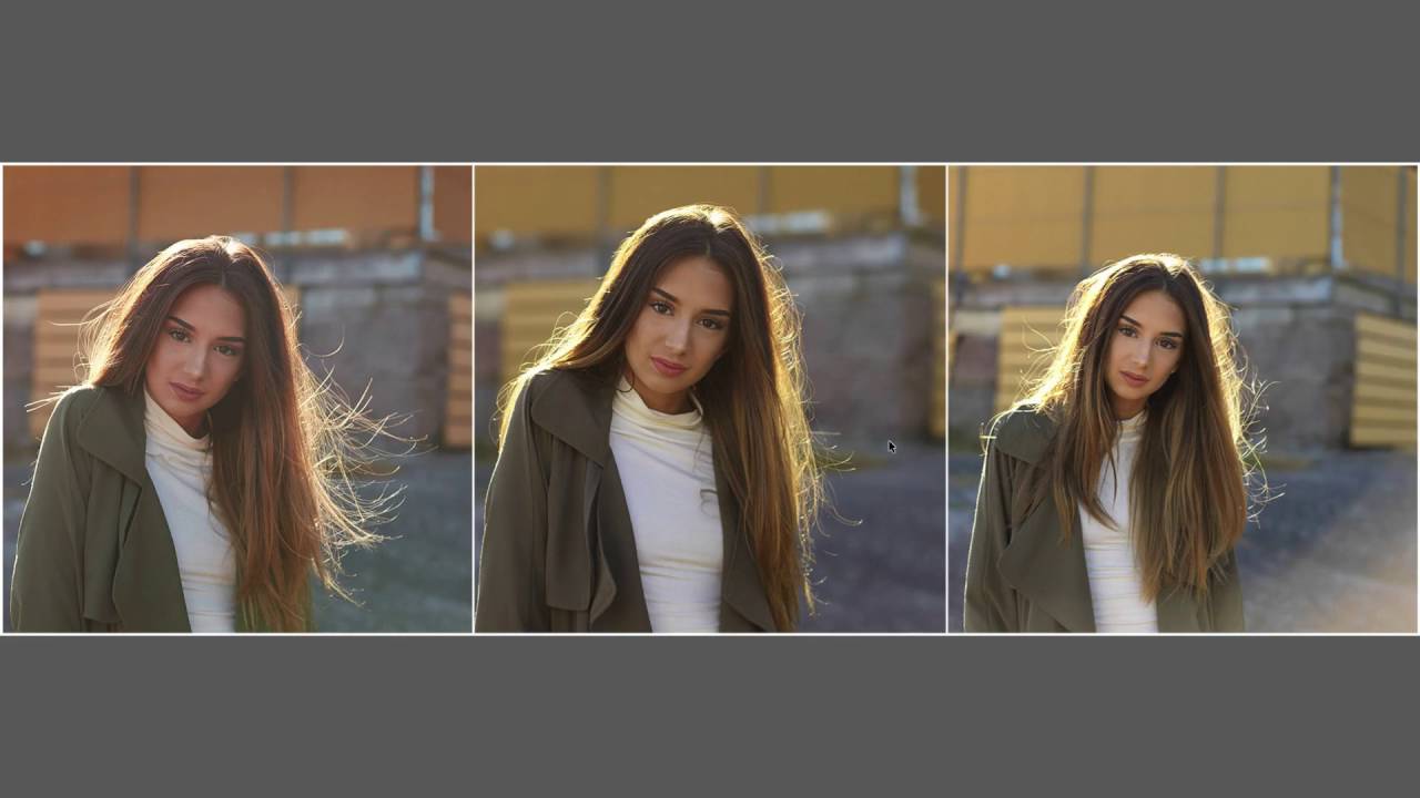 Canon 5DsR против PhaseOne IQ250 против Hasselblad X1D