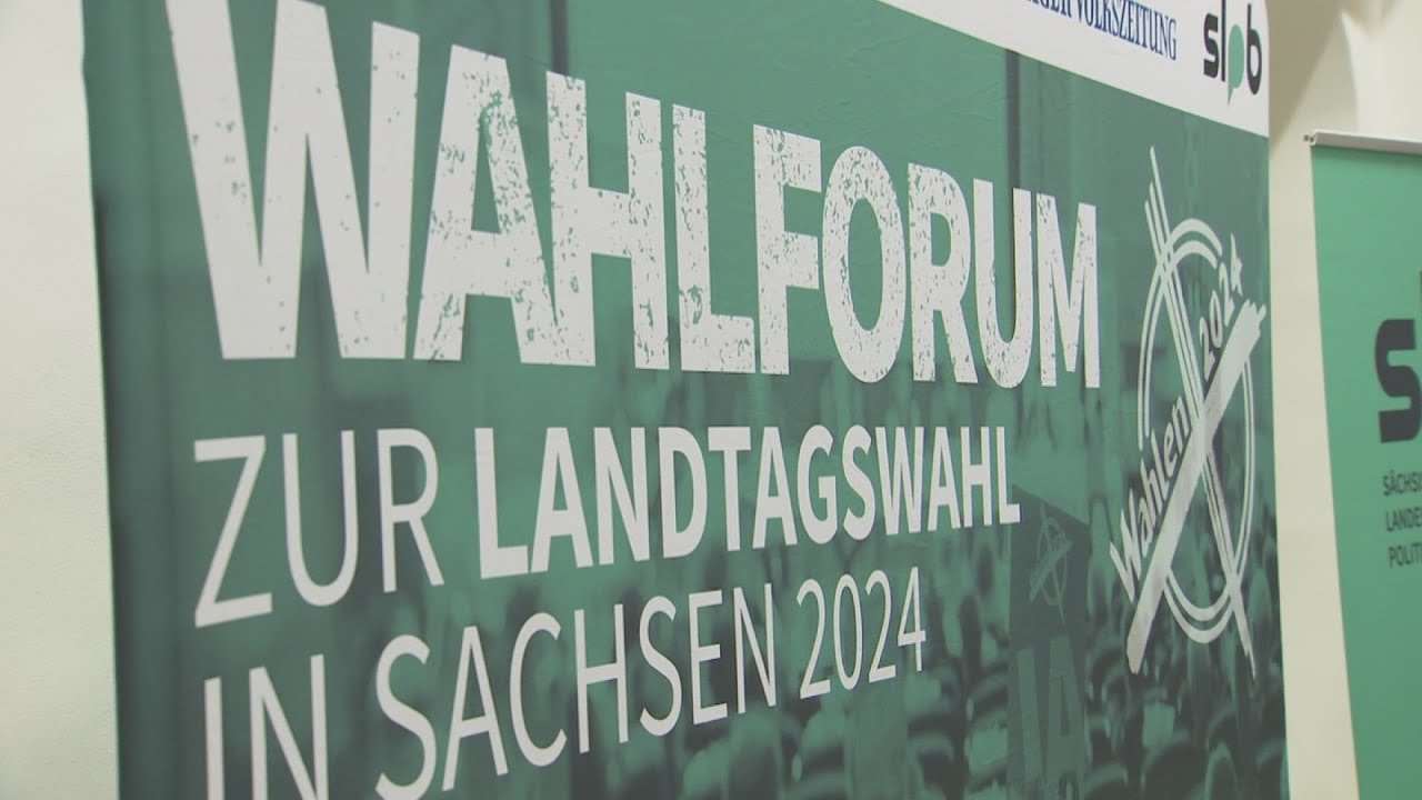 Wer vertritt Pirna im Landtag?