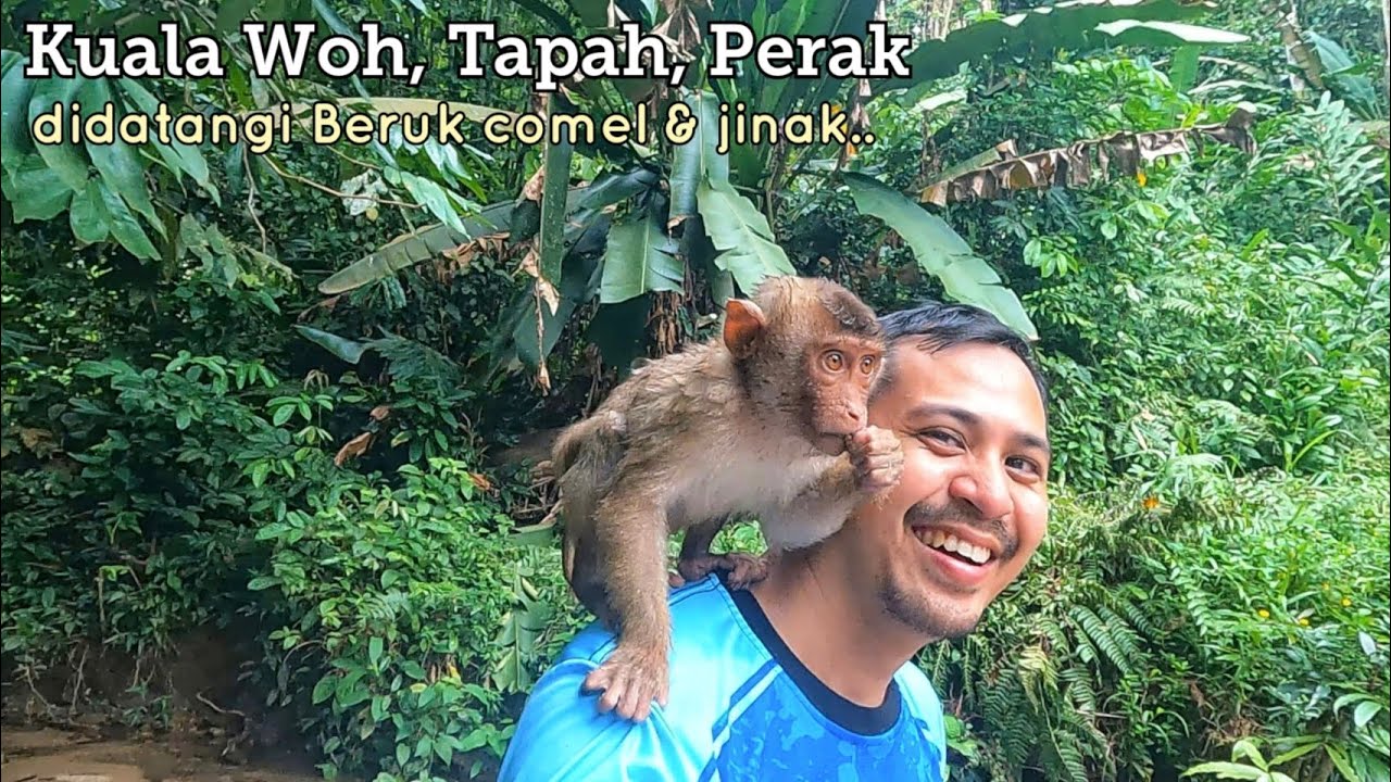 Didatangi Beruk jinak ketika mandi sungai.