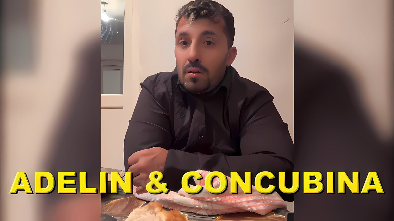 ADELIN PETRISOR SI CONCUBINA DISCUTII APRINSE