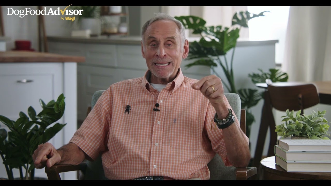 Dr. Marty Goldstein answers questions from Dog Food Advisor subscribers - Part 2