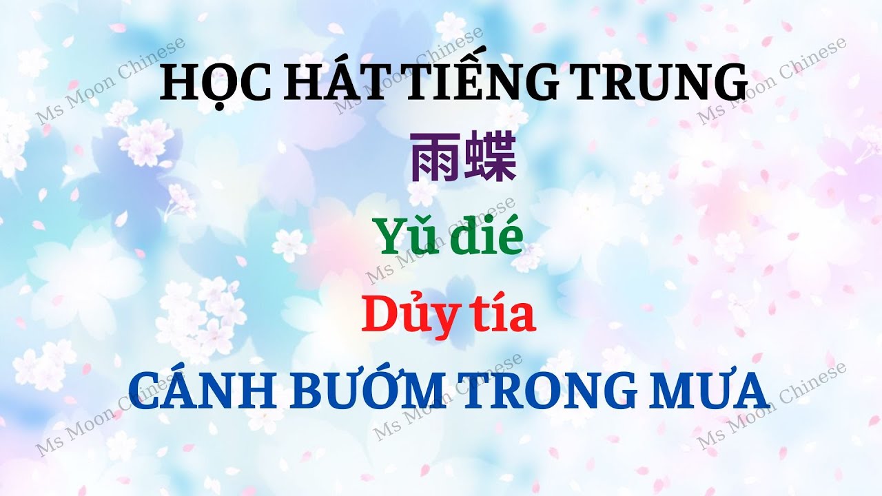 Học tiếng Trung qua bài hát Yu die - Cánh bướm trong mưa - 雨蝶