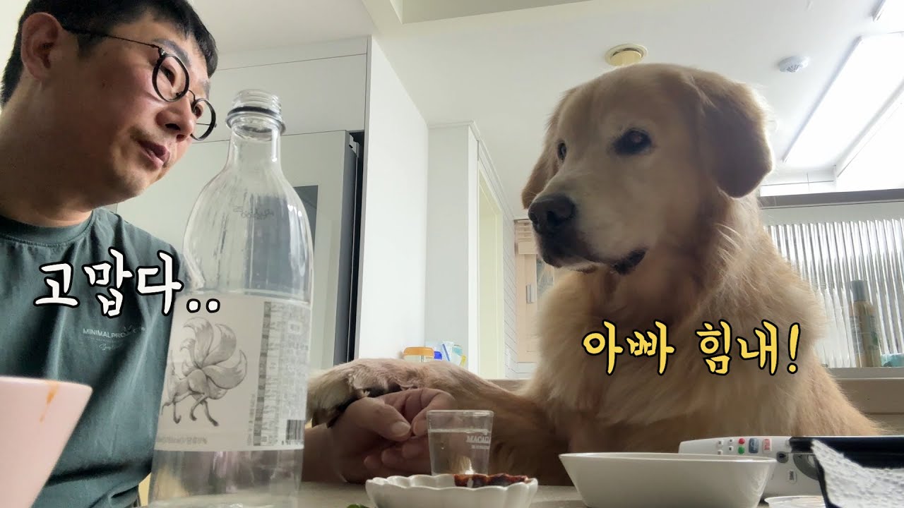 지친 아빠 손을 꼭 잡아준 리트리버ㅠ&hellip; 그런데 반전이 있었다!