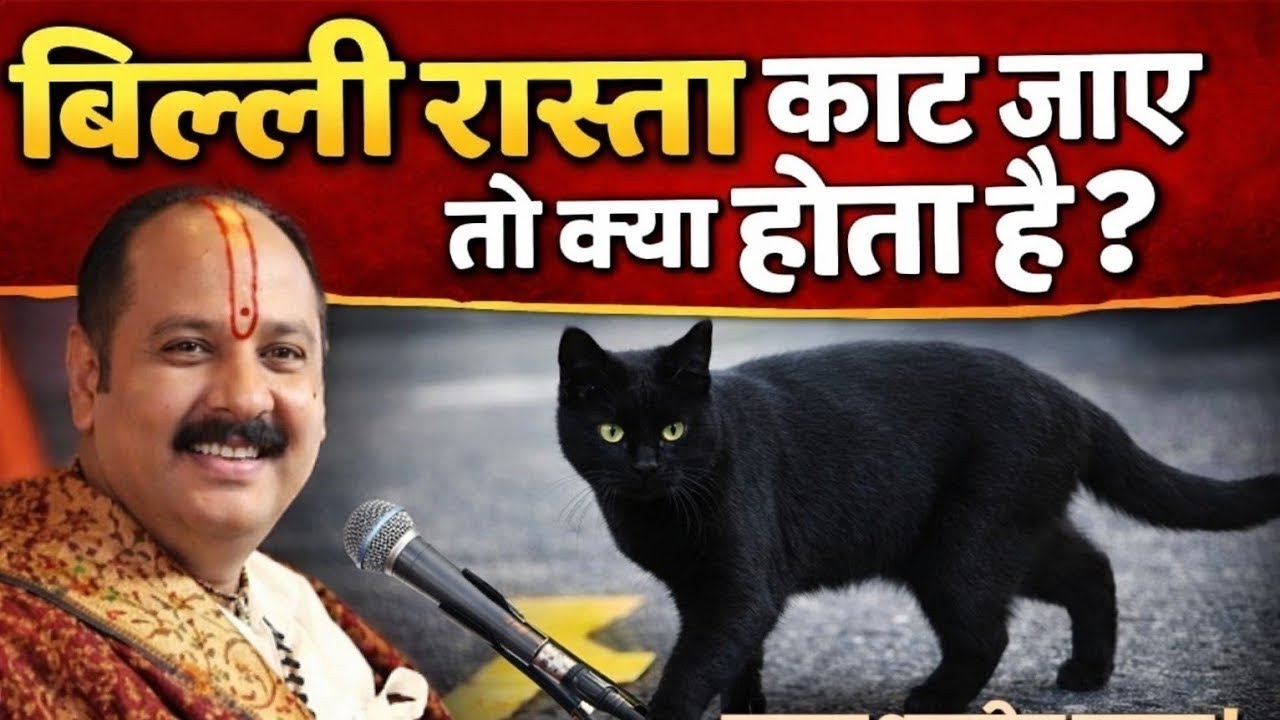 अगर बिल्ली रास्ता काट जाए तो क्या रूक जाना चाहिए जाने पुज्य महाराज जी से//pandit pradeep mishra ji 