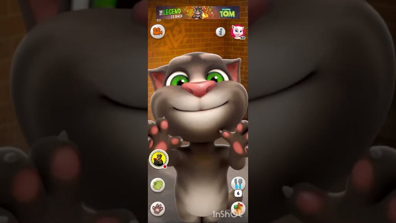 Talking Tom Live Gameplay #11 Funny Tom Voice & Game Play | Live Now