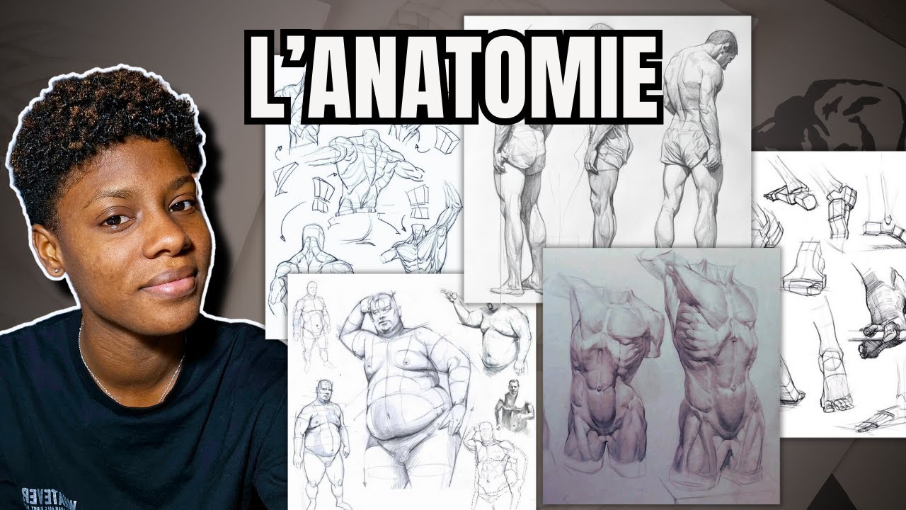 L'anatomie | Les bases du dessin r&eacute;aliste