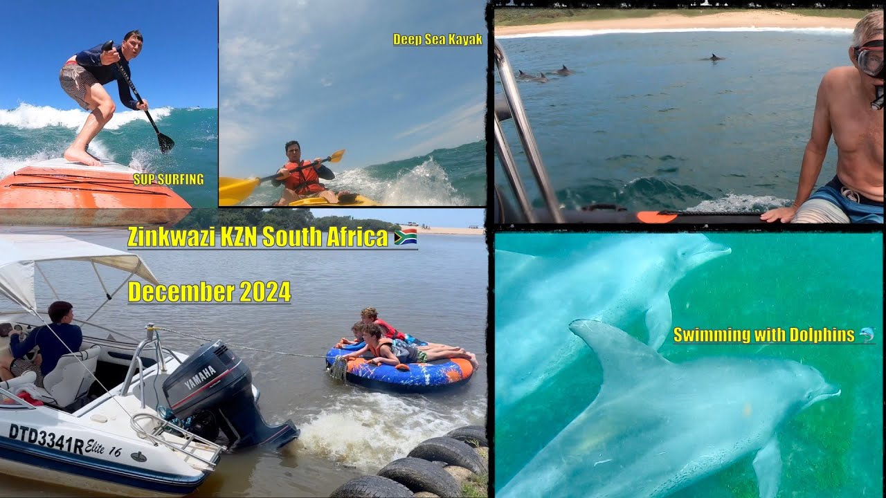 Zinkwazi Beach || South Africa 🇿🇦 || Swimming with Dolphins || December 2024