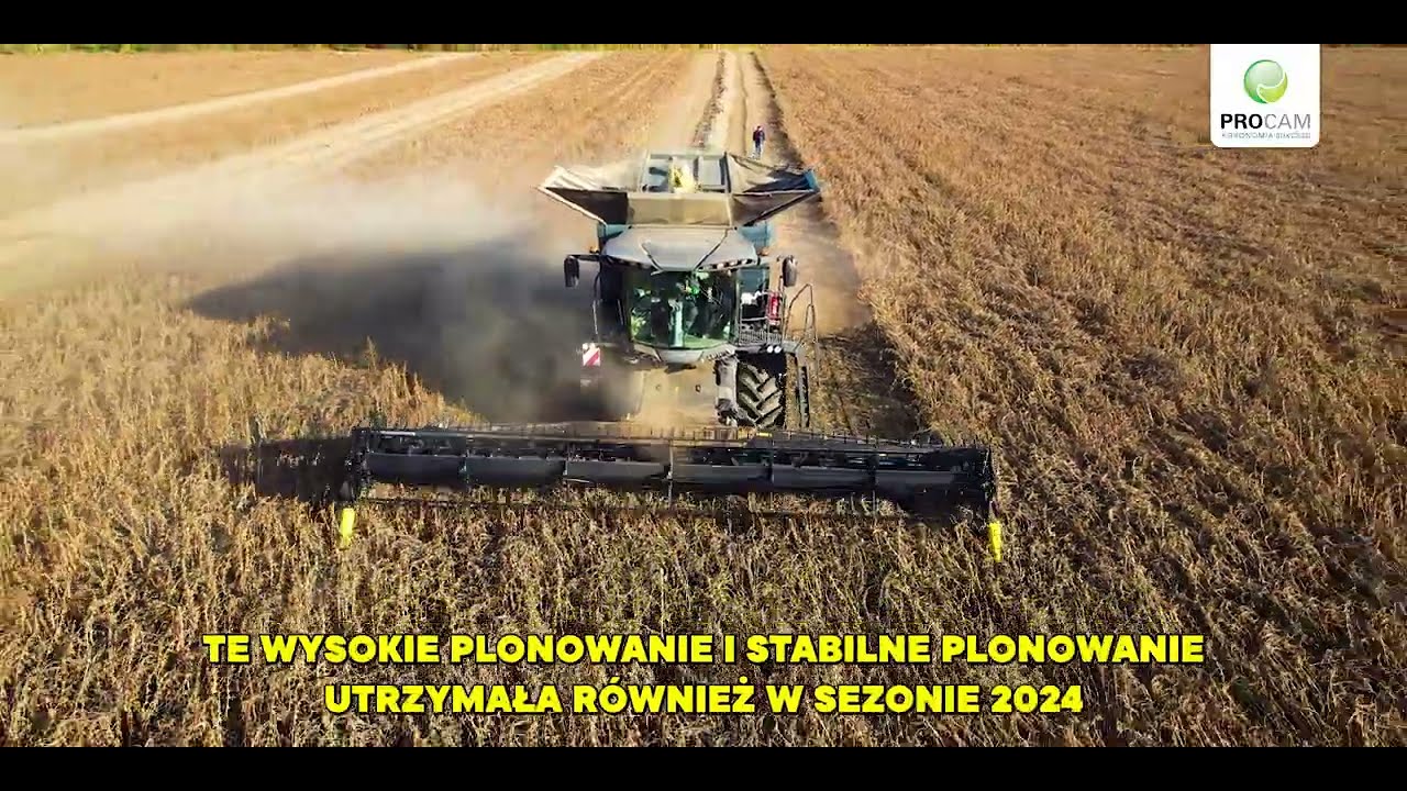 Soja PROCAM odmiana IKONE –  Symbol zysku