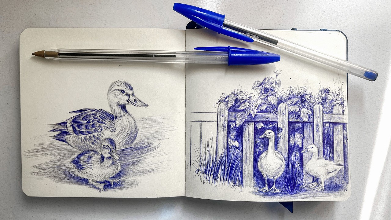 drawing duck with ballpoitn pen 🦆 relaxing art ( no talking )
