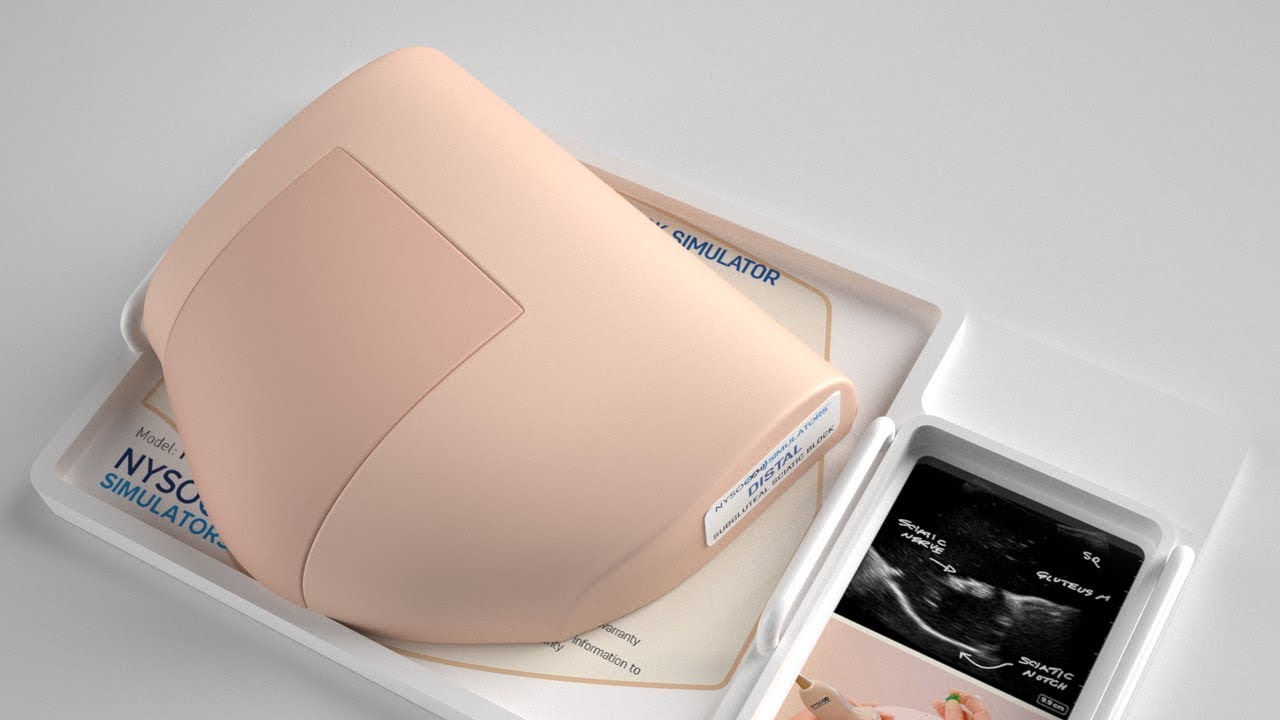 SCIATIC TRANSGLUTEAL ULTRASOUND SIMULATOR