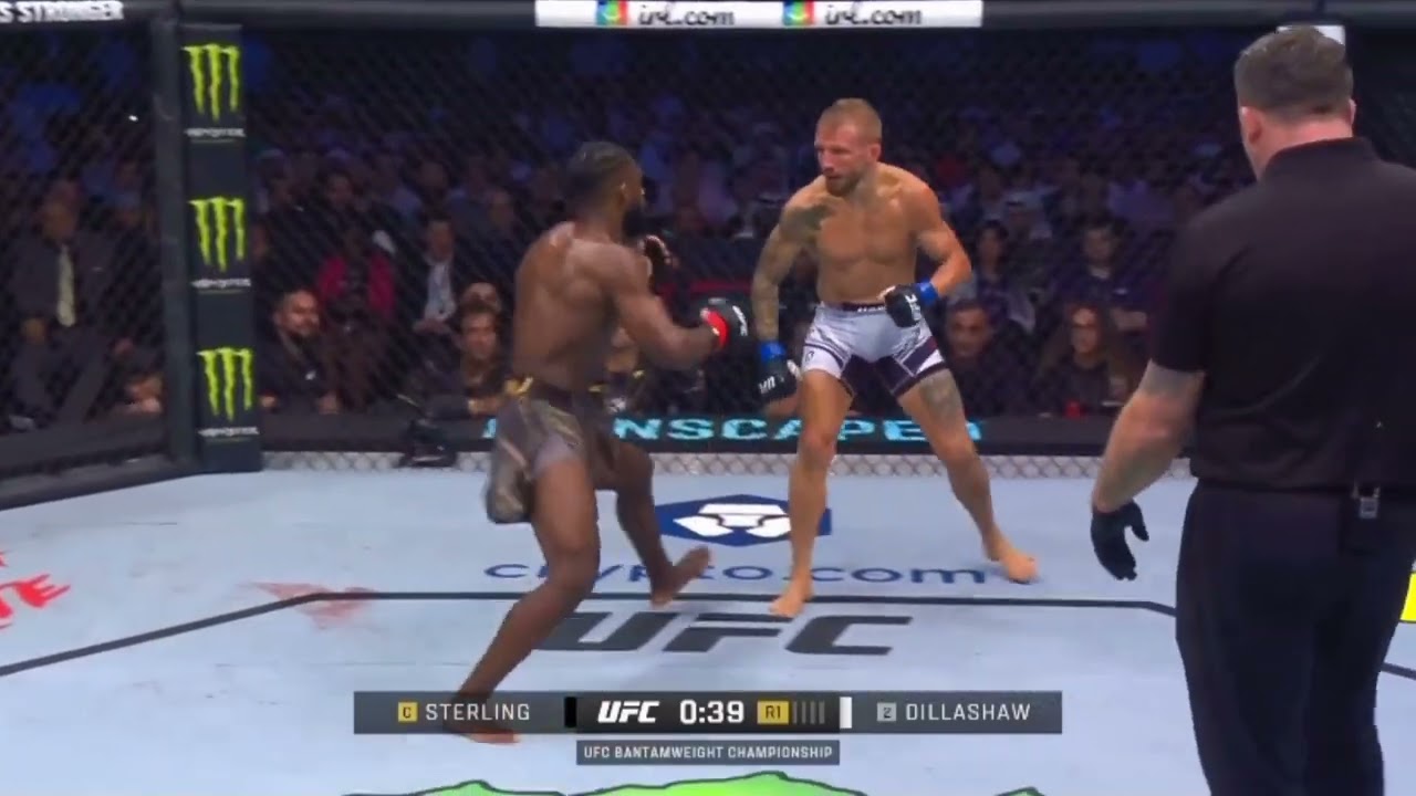 Aljamain Sterling Listens To Savage Corner Advice