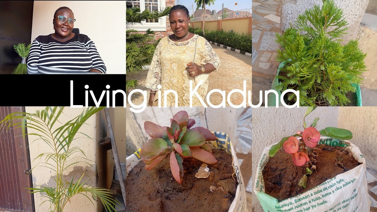Vlogmas3; Kaduna Living||I am now a plant mom|| Dealing with a loss