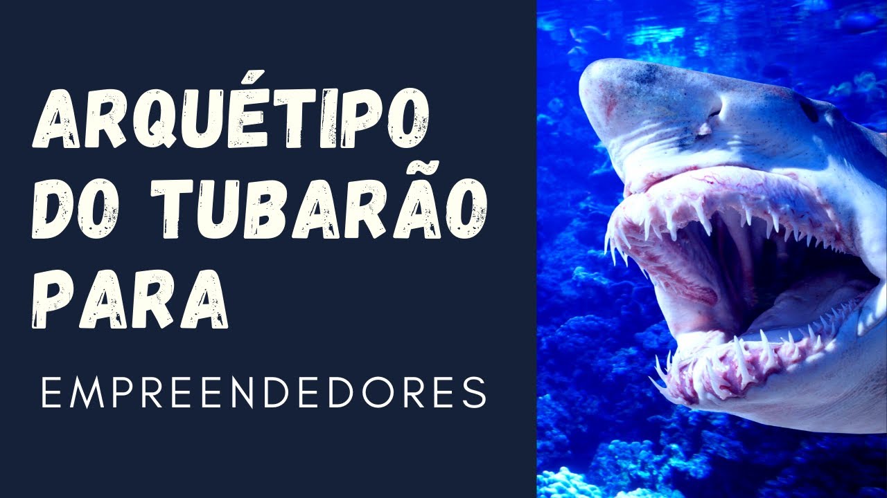 ARQUÉTIPO do TUBARÃO - PERFEITO para EMPREENDEDORES
