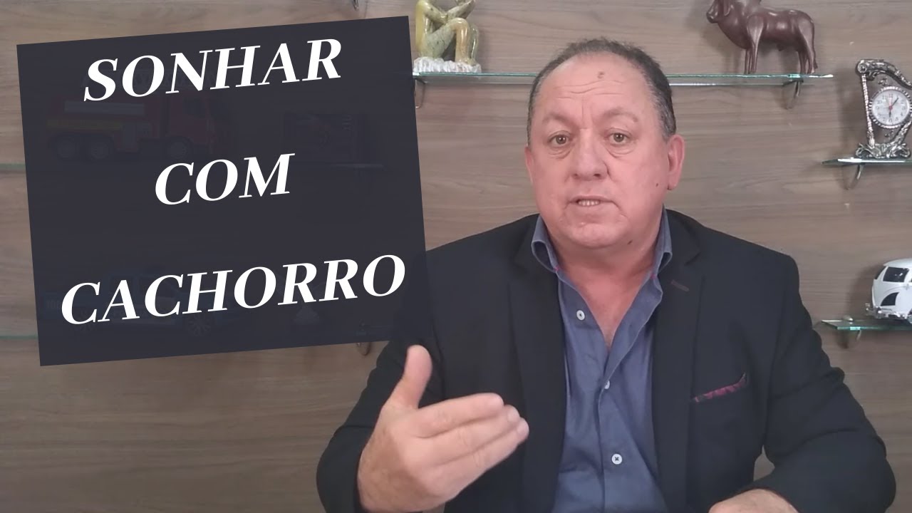 SONHAR COM CACHORRO - SIGNIFICADO