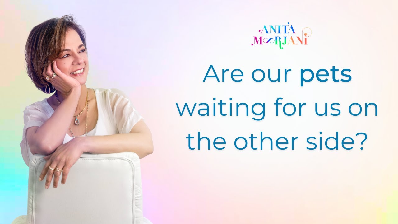 Are our pets waiting for us on the other side?