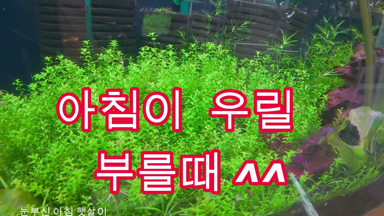 아침이 우릴 부를때 ^^