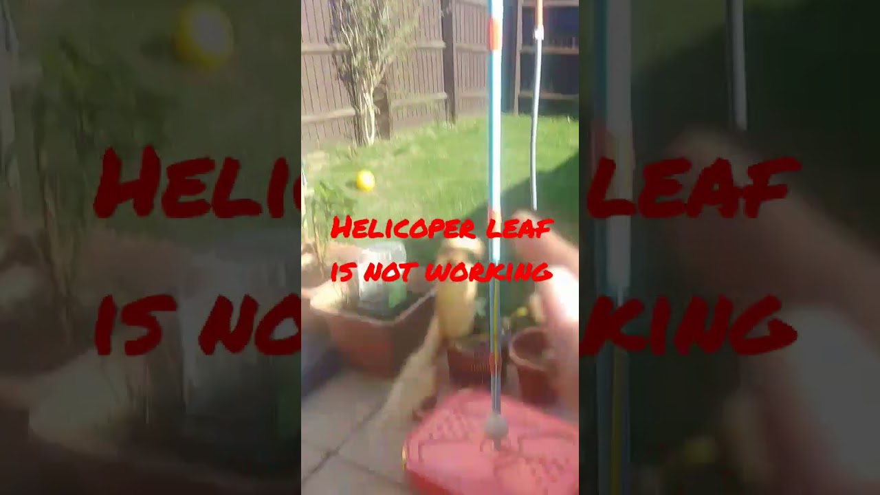 Helicopter leaf fail