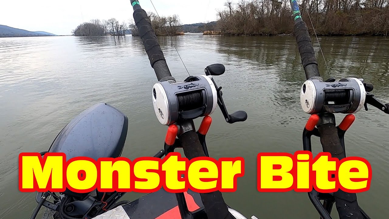 Locating and Catching the Giant American Catfish