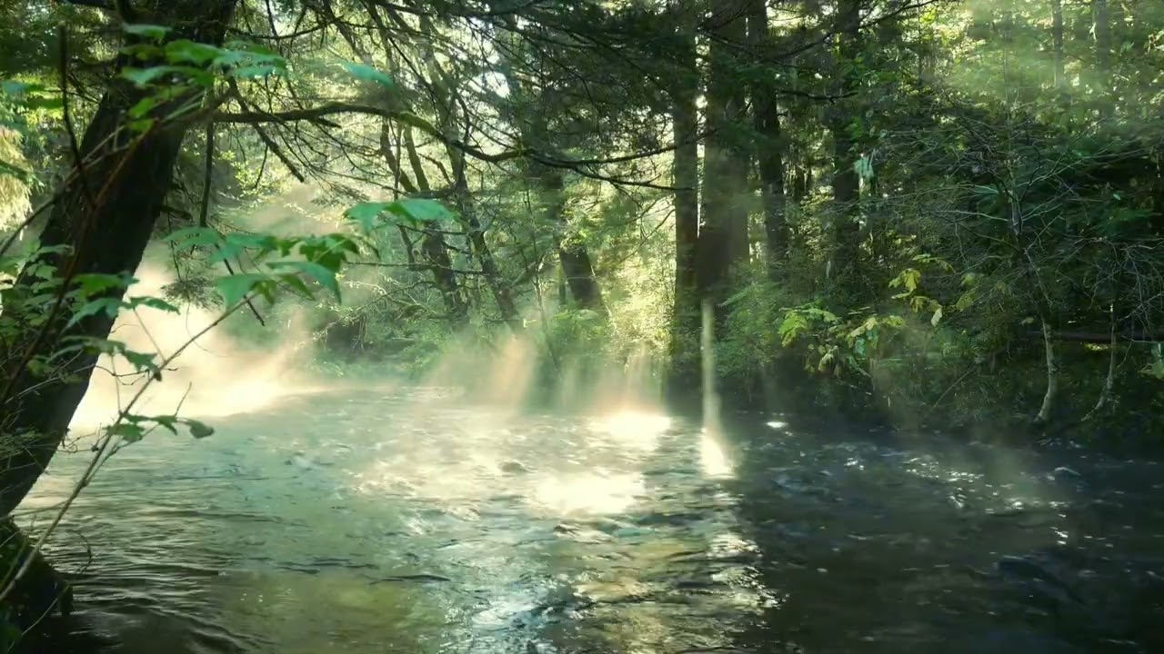 Rahatlatıcı akarsu sesi / Soothing sound of flowing water 💦