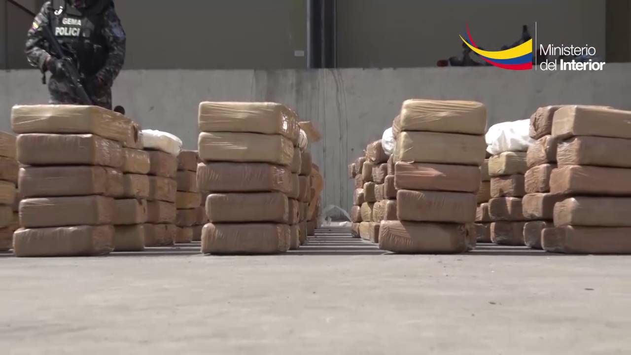 Policía Antinarcóticos incautó más de 3,1 toneladas de cocaína en 4 operativos