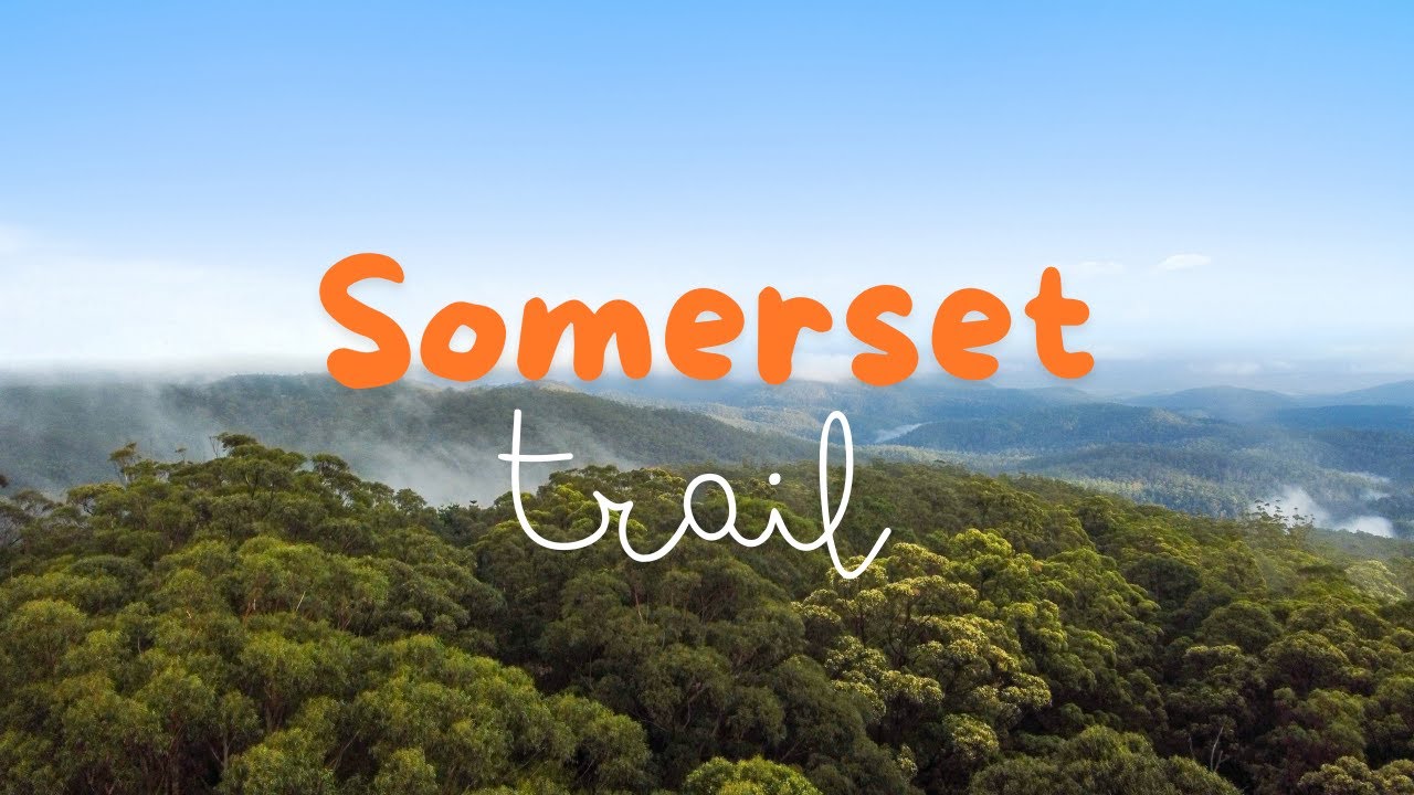 Peaceful Trek on Somerset Trail | 4K Nature Walk in D'Aguilar NP