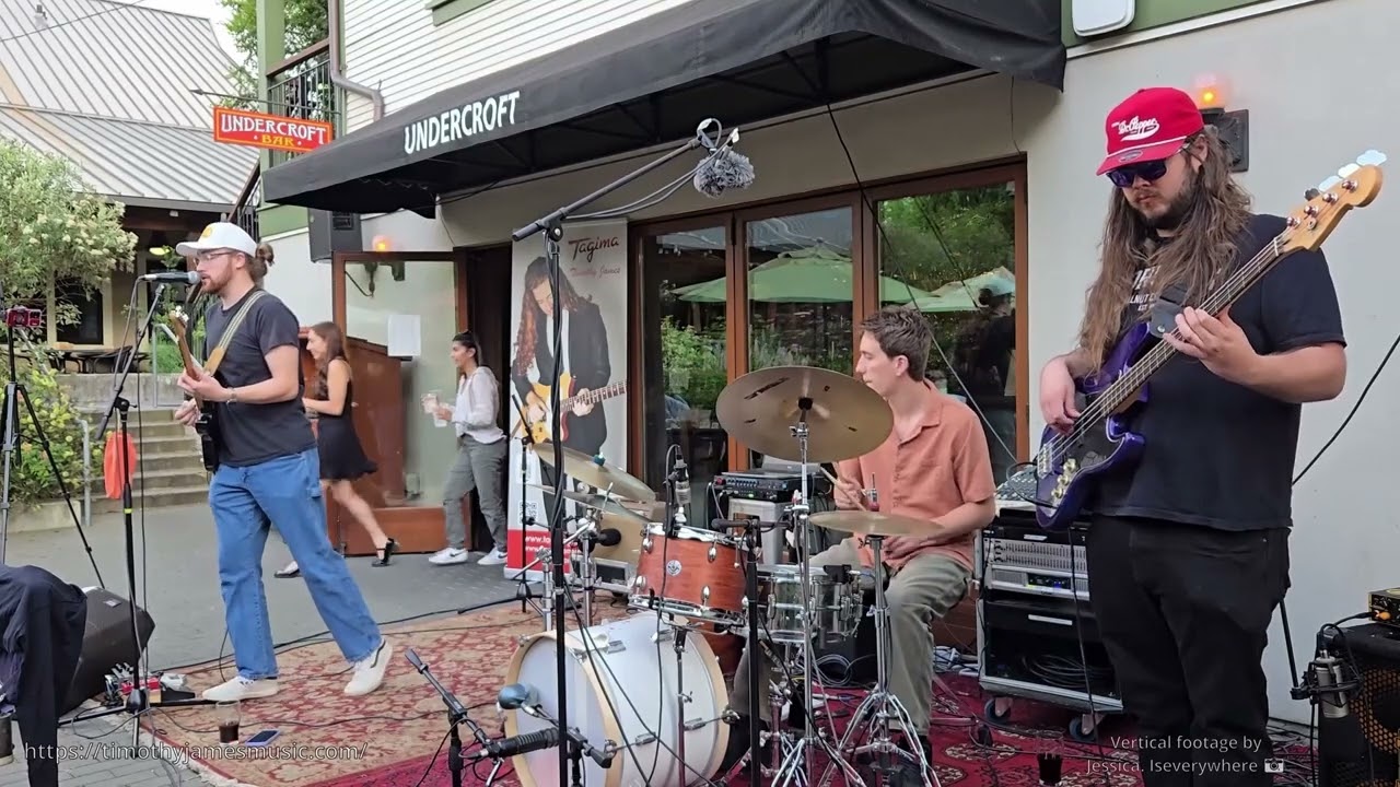 Dreams- Timothy James  #funkmusic #fleetwoodmac