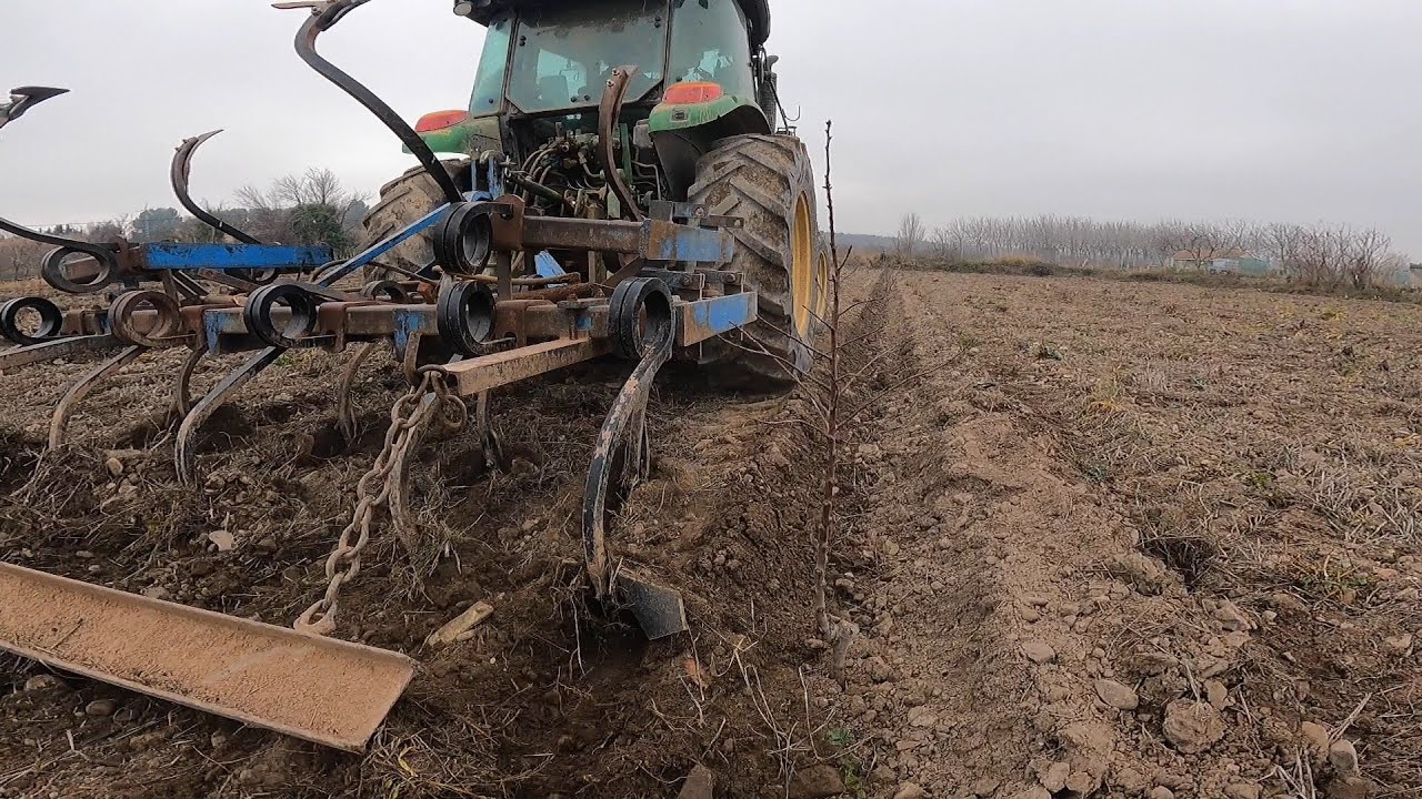 La Plantación del Almendro Pt.2