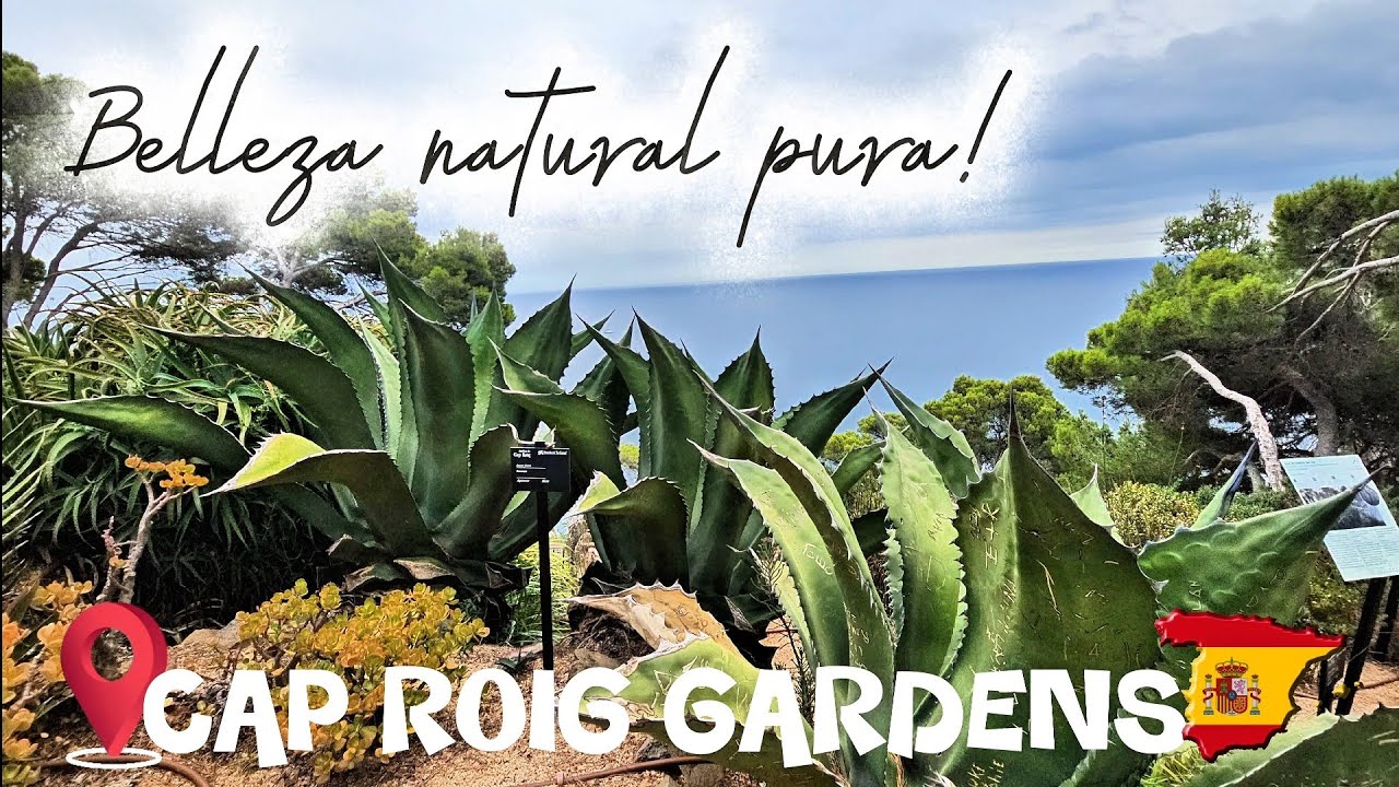 JARDÍN Botánico con vistas increíbles🇪🇸#jardinesbotanicosdelmundo #cactusandsucculents #tour