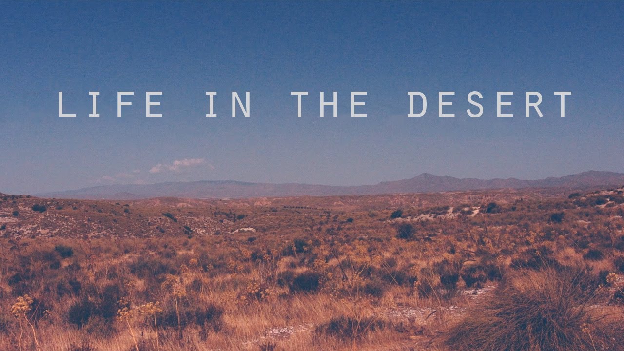 Life in the desert