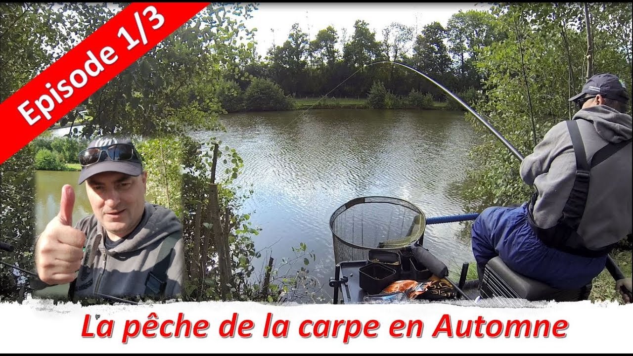 ✪✪ P&ecirc;che de la carpe au coup en Automne ✪✪  ★Premi&egrave;re partie★