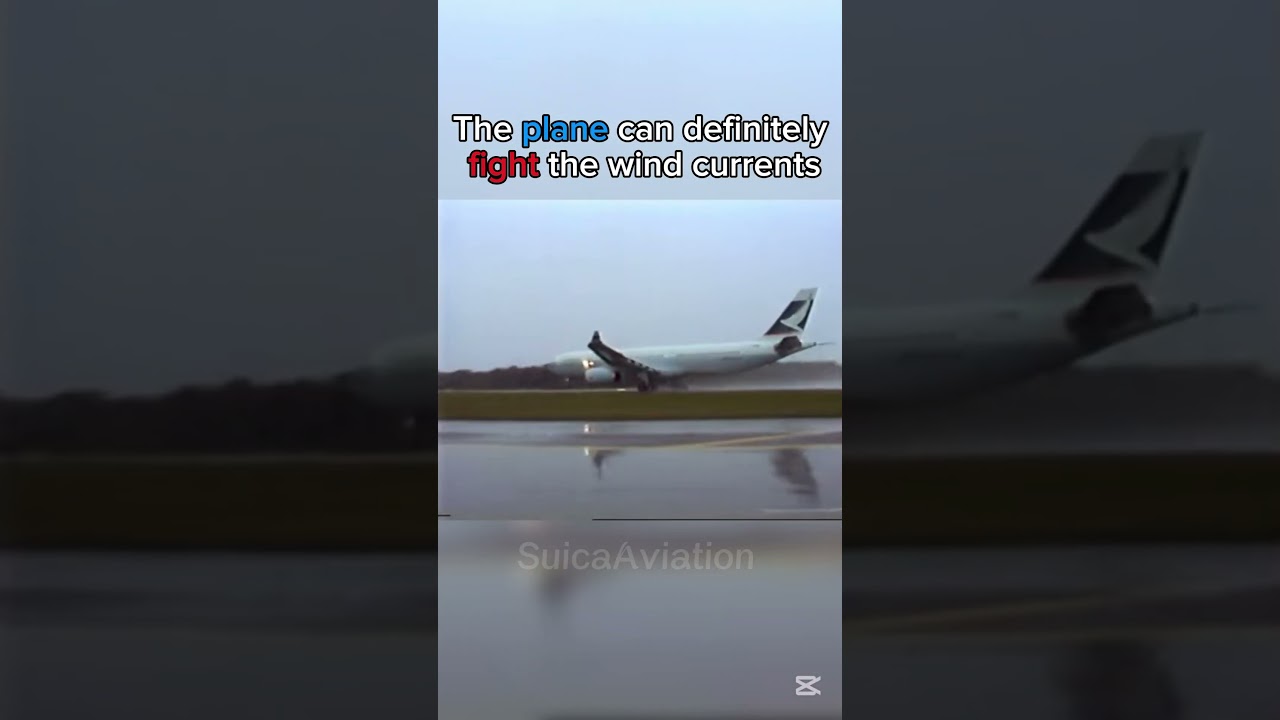 Not even planes could fight it | #headwind #plane #avgeek #aviation #pilot #cathaypacific #a330
