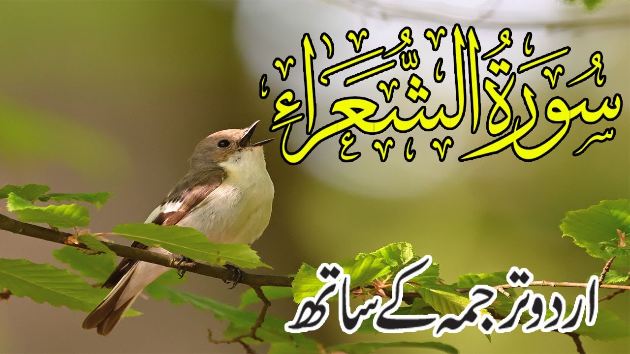 Surah Shuara Urdu Tarjuma K Sath | Surah Al Shuara With Urdu Translation |