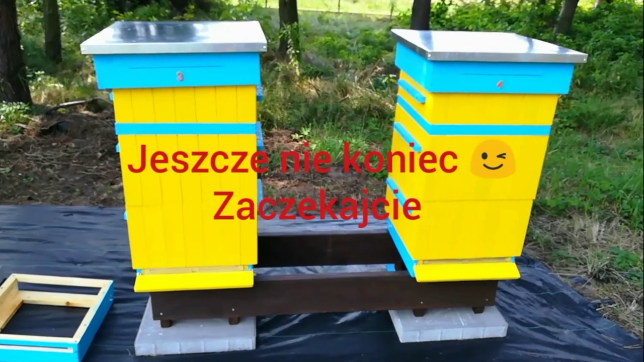 Ule firmy Dyrda, stojaki pod ule - Pasieka Od Początku - Ogród i Pszczoły