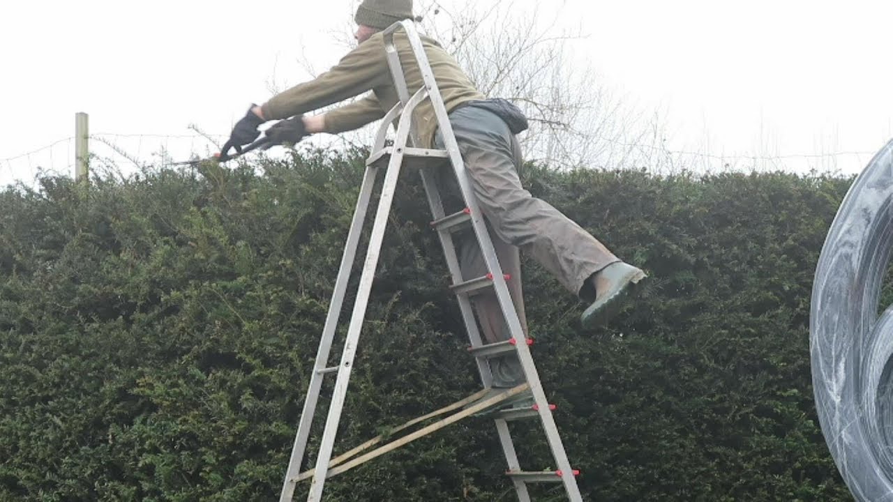 LADDER BALLET and MORE BAD PRUNING!