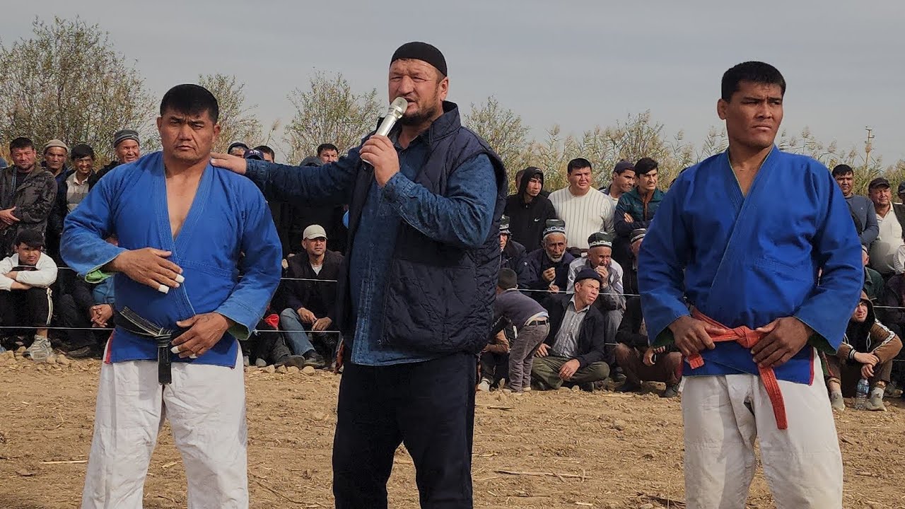 Denovda katta kurash tavoq polvonlar keldi