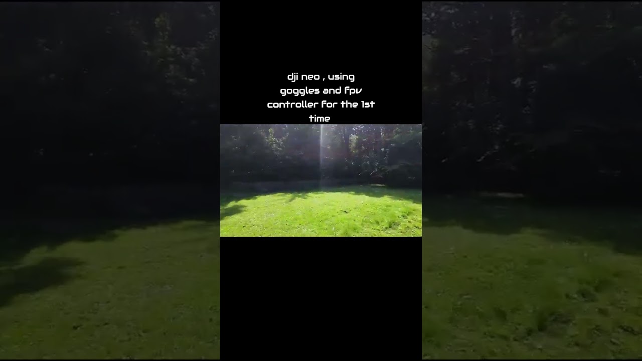 Dji neo with n3 goggles and fpv controller, I borrowed my friends set up to see what all the fuss is