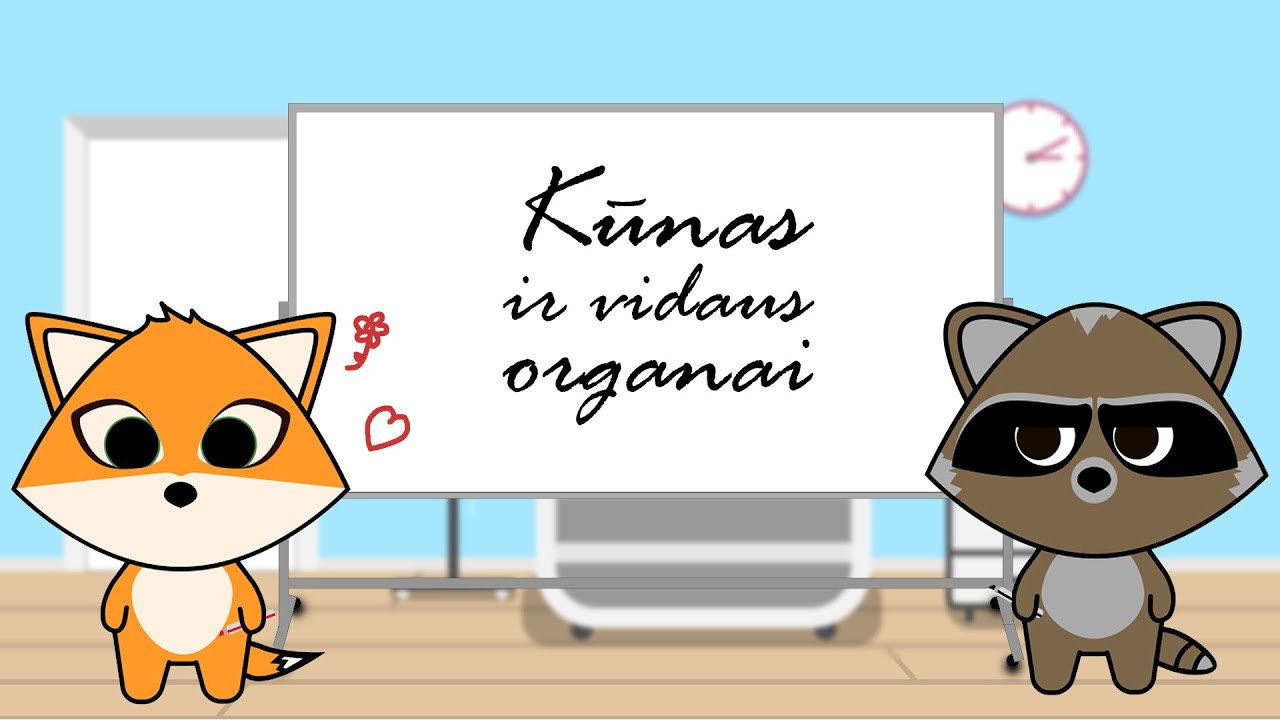 Kūnas ir vidaus organai (Vaikams)