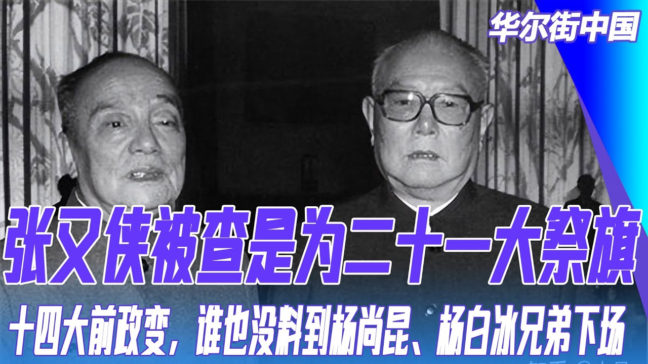 张又侠被查是为二十一大祭旗，十四大前政变，谁也没料到杨尚昆、杨白冰兄弟下场｜华尔街中国