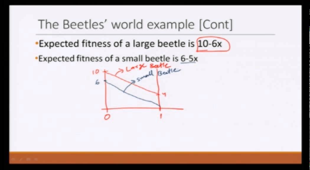 Lecture 47:  Evolutionary Stable Strategy (ESS) - Beetles&rsquo; World  Example and Analysis
