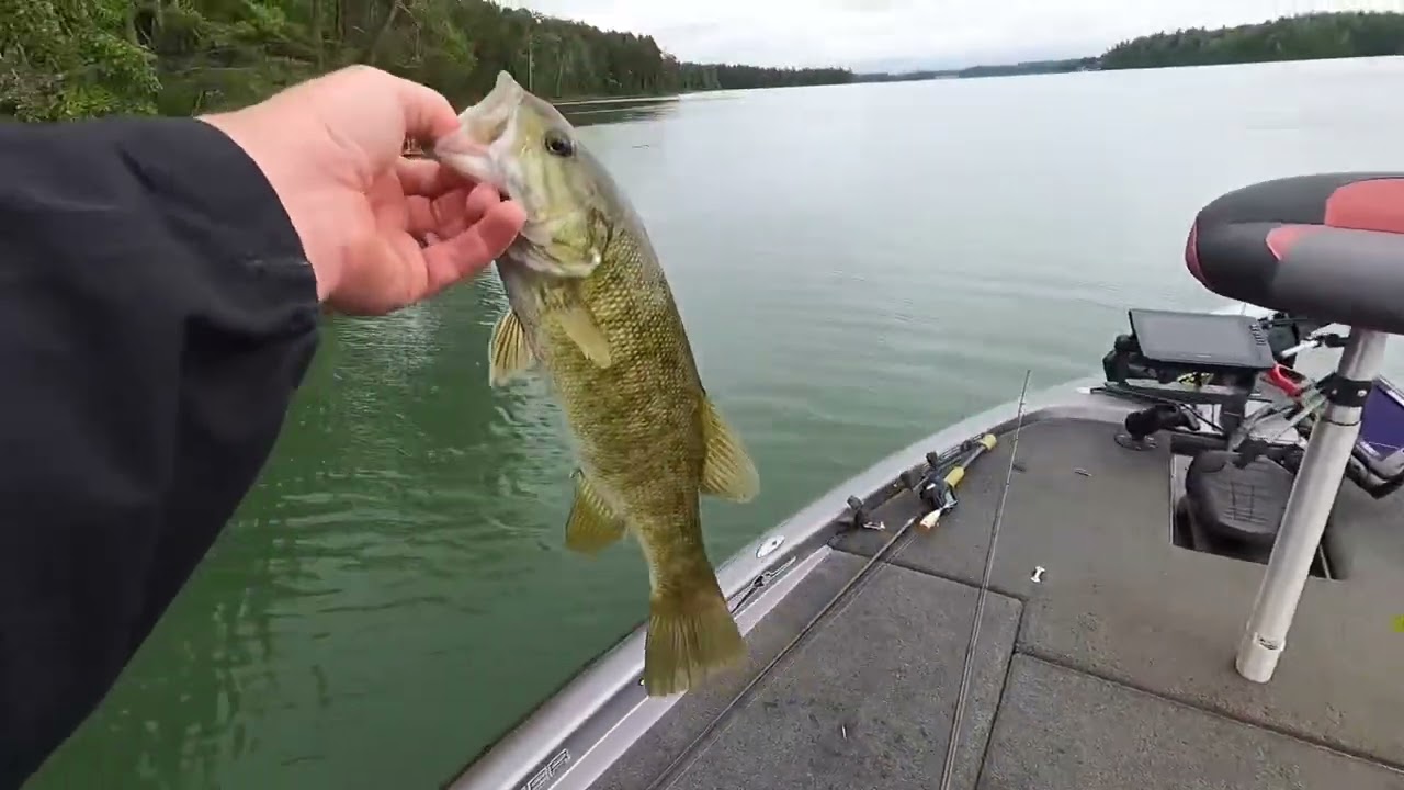 Summer time fishing Lake James