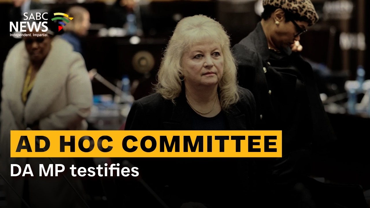 Ad Hoc Committee | DA MP testifies