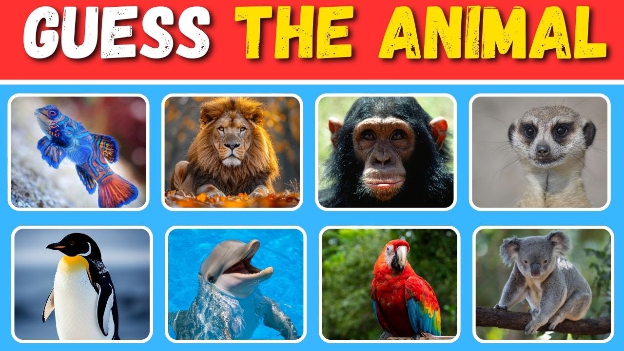 Quiz: Can You Identify These 50 Animals? |