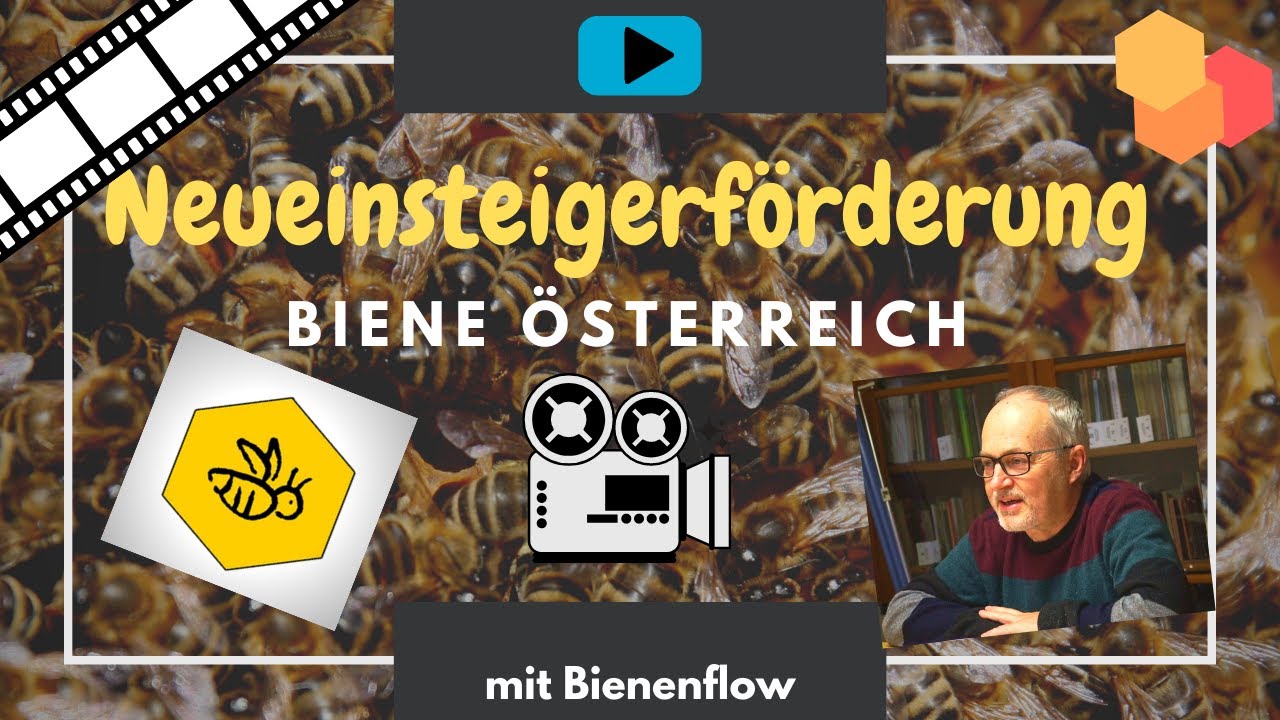 F&ouml;rderung f&uuml;r Jungimker | Neueinsteigerf&ouml;rderung