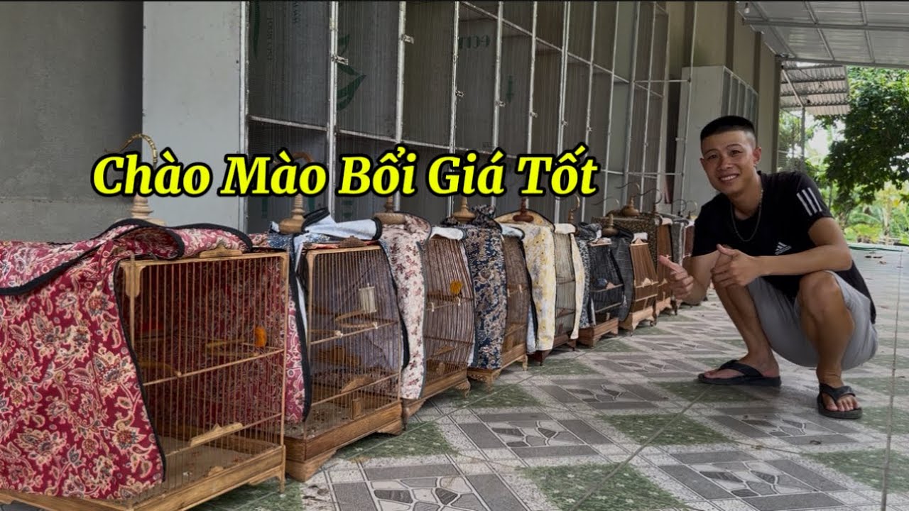 11.10 - Chào Mào Bổi Giá Tốt Dành Cho AE Chưa Có Nhiều Điều Kiện